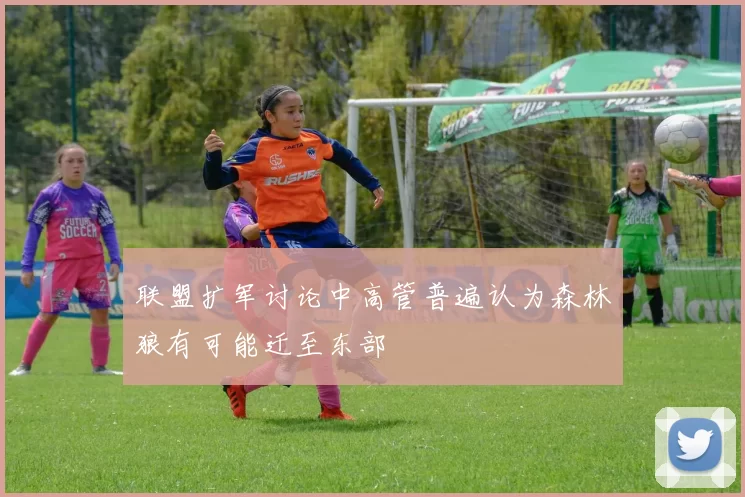联盟扩军讨论中高管普遍认为森林狼有可能迁至东部