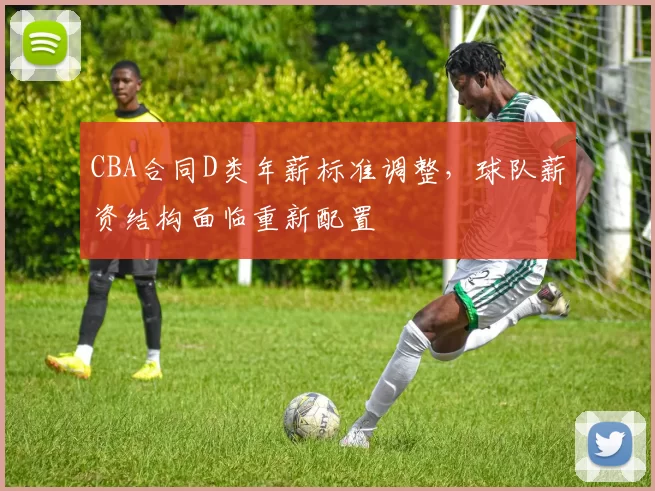 CBA合同D类年薪标准调整,球队薪资结构面临重新配置