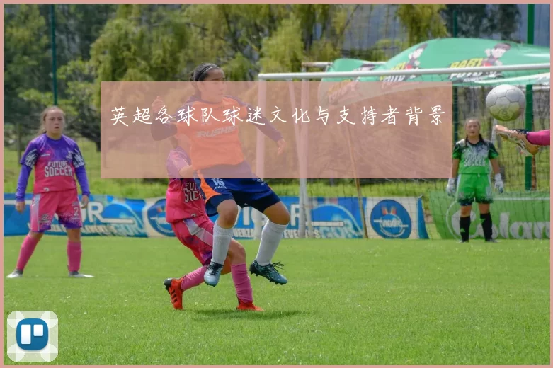 英超各球队球迷文化与支持者背景