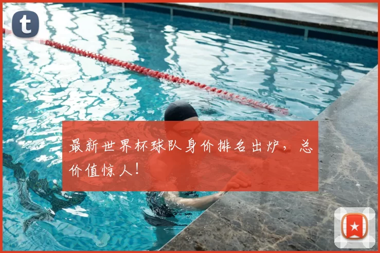 最新世界杯球队身价排名出炉,总价值惊人!