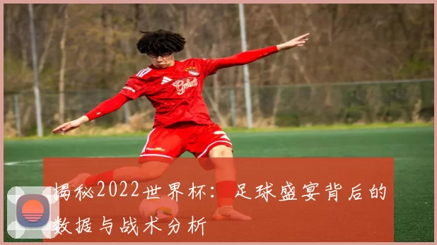 揭秘2022世界杯：足球盛宴背后的数据与战术分析