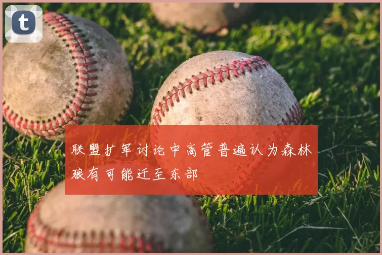 联盟扩军讨论中高管普遍认为森林狼有可能迁至东部