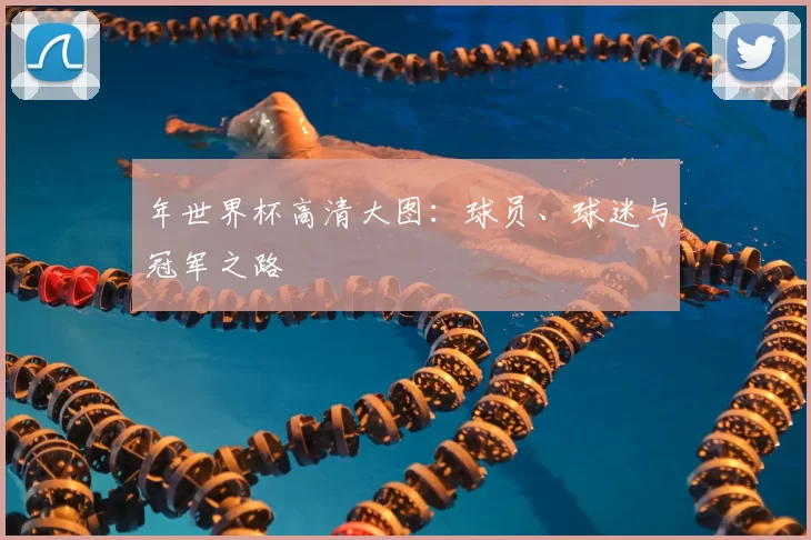 年世界杯高清大图：球员、球迷与冠军之路