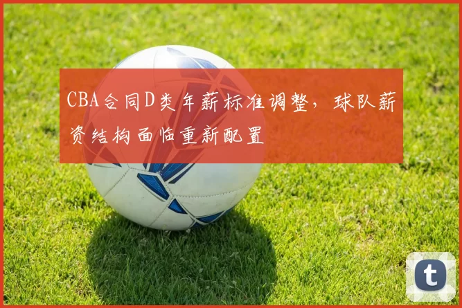 CBA合同D类年薪标准调整,球队薪资结构面临重新配置
