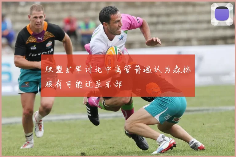 联盟扩军讨论中高管普遍认为森林狼有可能迁至东部
