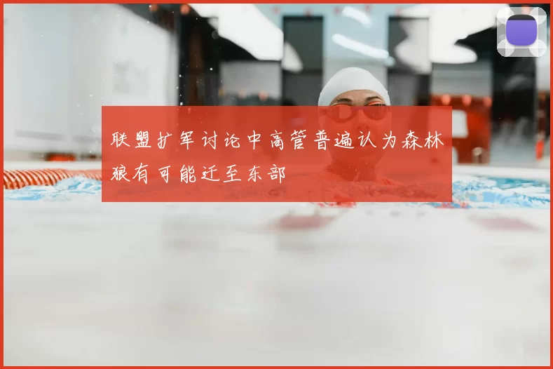 联盟扩军讨论中高管普遍认为森林狼有可能迁至东部