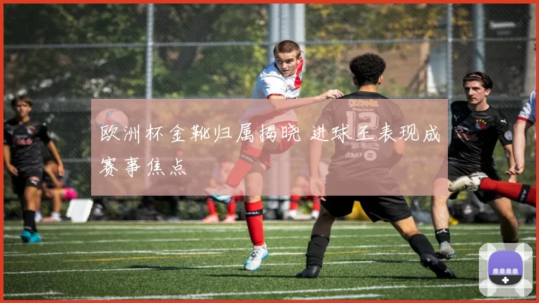 欧洲杯金靴归属揭晓 进球王表现成赛事焦点