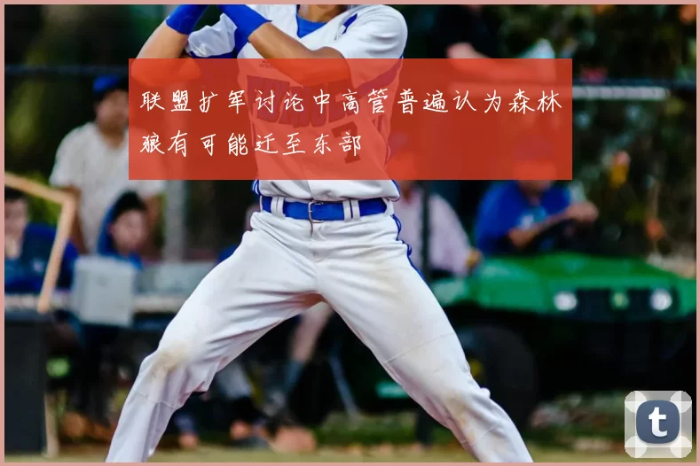 联盟扩军讨论中高管普遍认为森林狼有可能迁至东部