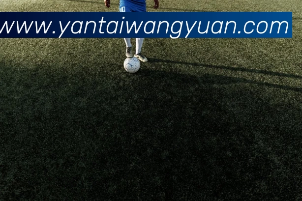 多媒体互动体验