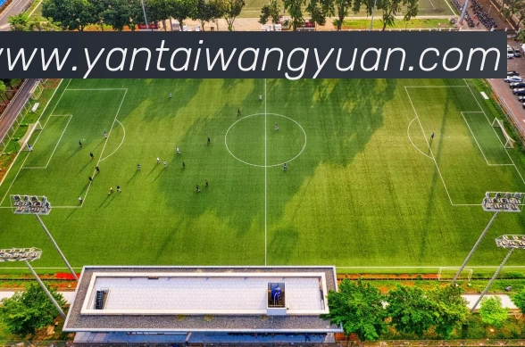 数据防护可视化